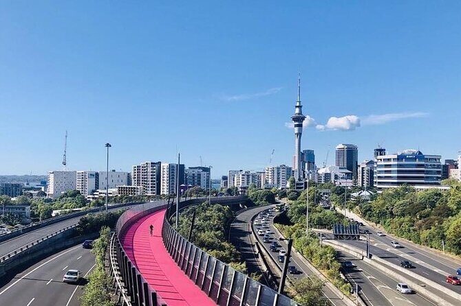 Hire A Driver For 4 Days From Auckland - Why You’ll Appreciate This Service