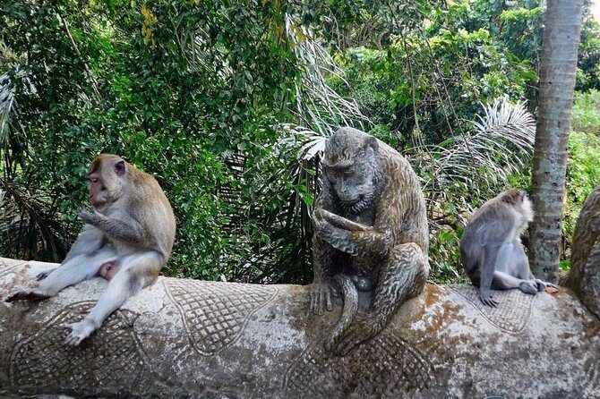 Hire Bali Driver for 10-hour (Bali as You Please) - Final Thoughts