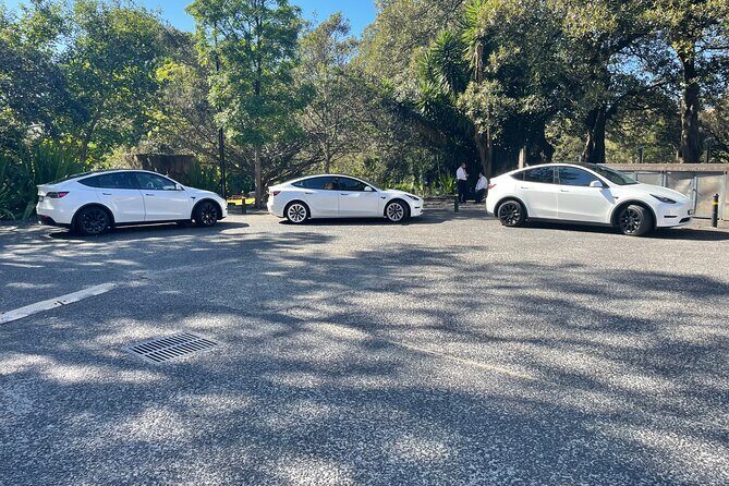 Hire Car and Limousine Service - Analyzing the Value