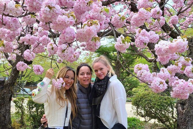 Hirosaki 4hr Private Tour with Government-Licensed Guide - Final Thoughts: The Value of a Curated 4-Hour Experience