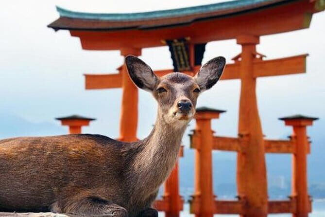 Hiroshima and Miyajima Private Custom Tour with Local Guide - Hiroshima and Miyajima Private Custom Tour with Local Guide: An In-Depth Review