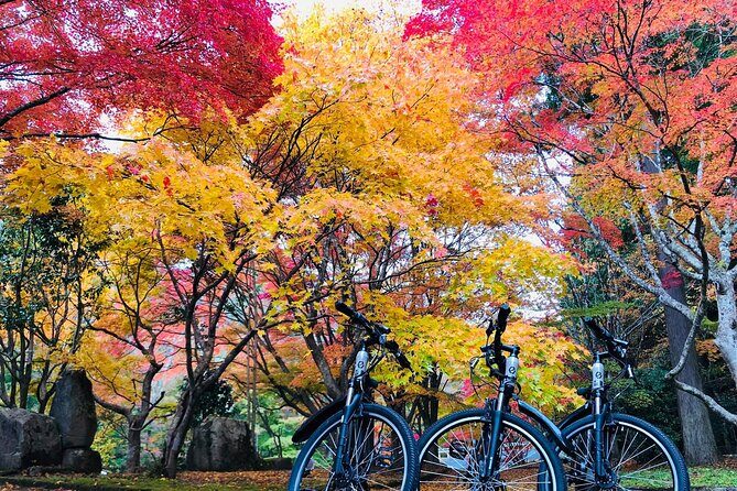 Hiroshima Country Cycling: Explore Rural Life 1 HR from City - Exploring Hiroshimas Countryside: An Authentic Escape