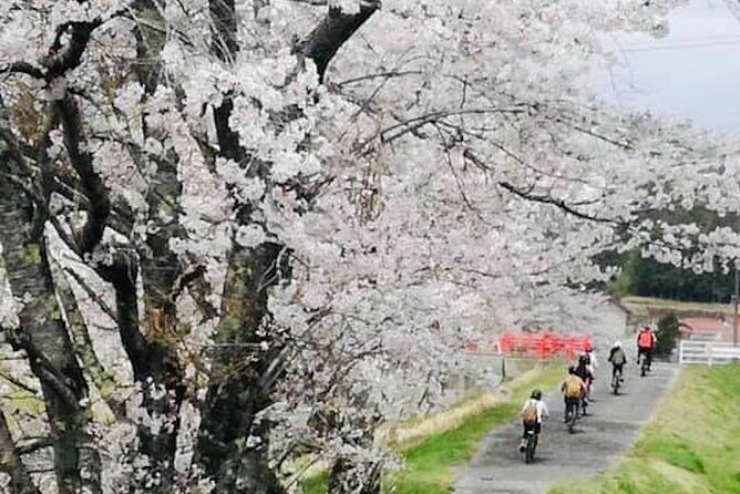 Hiroshima Country Cycling: Explore Rural Life 1 HR from City - Why This Tour Works