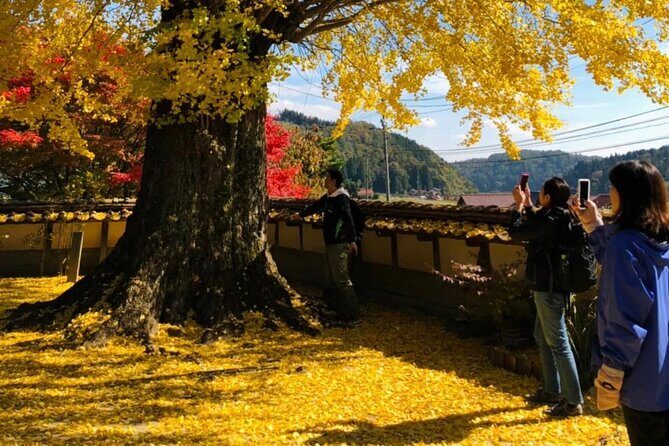 Hiroshima Country Cycling: Explore Rural Life 1 HR from City - Who Should Consider This Tour?