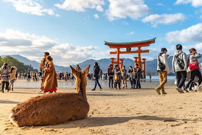 Hiroshima Historical Hot Spots Private Tour - Frequently Asked Questions