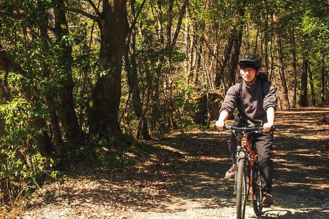 Hiroshima Like a Local: Customized Private Tour - The Authentic Experience: What Travelers Say