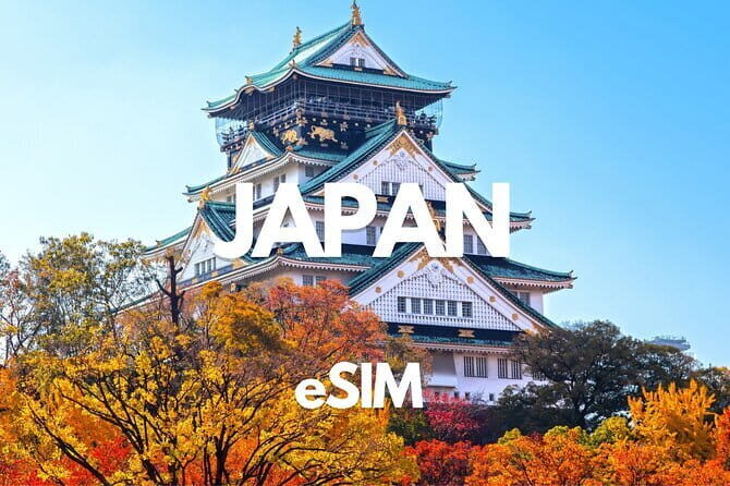 Hiroshima Like a Local: Customized Private Tour - Final Thoughts: Is This the Tour for You?