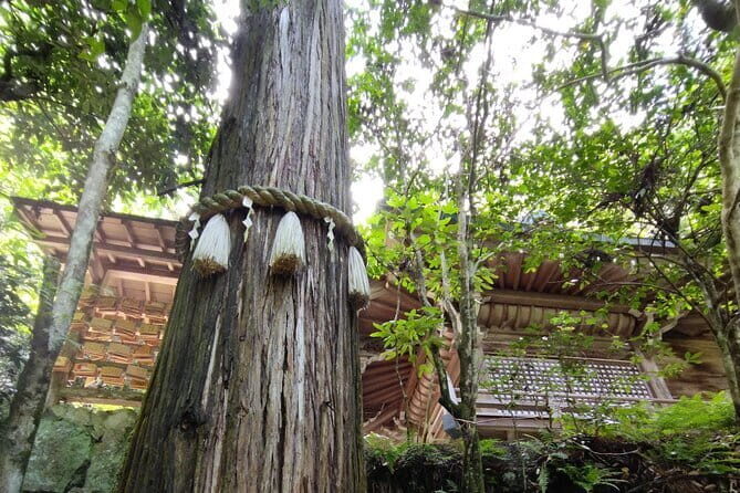 Hiroshima Scenic Cycling Guided Tour - The Experience: What You Can Expect