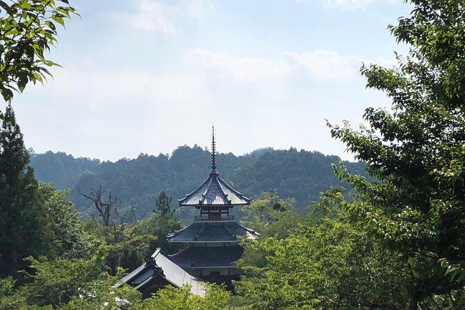Historic and Natural Guided Hike in Yoshino - Analyzing the Value