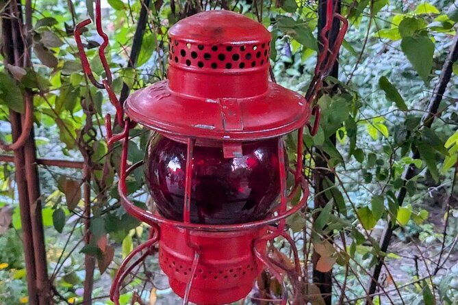 Historic Brothels of Old Toronto Walking Tour - Who Will Enjoy This Tour the Most?