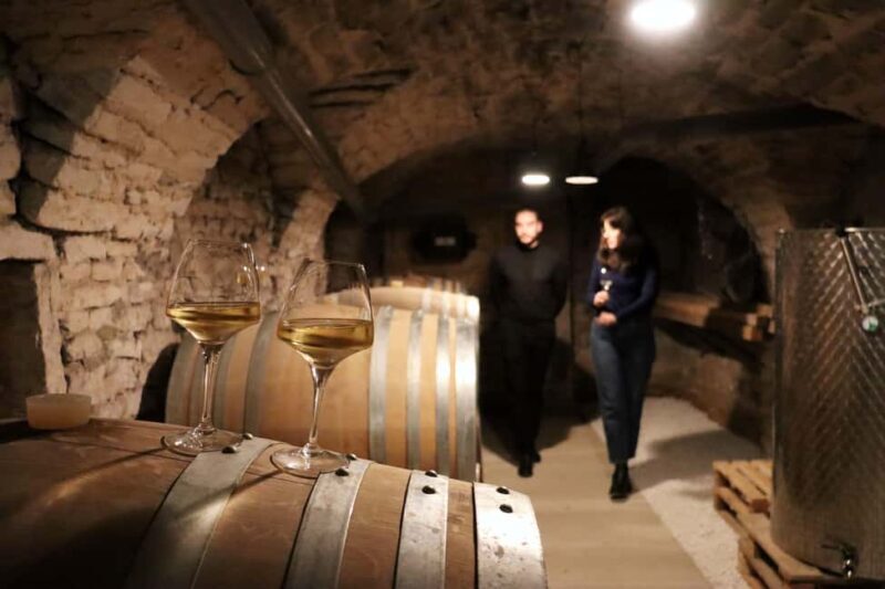 Historic Center of Dijon : Discovery Tasting Wine Burgundy - Starting at LES CAVES DE LA FINE HEURE in Dijon