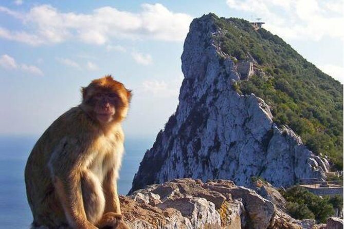 Historic Gibraltar Rock and St Michael's Cave Tour from Seville - Practical Details & Considerations