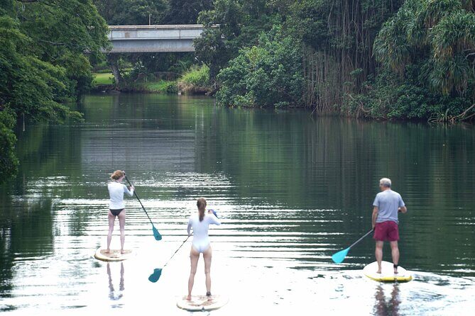Historic Haleiwa Rainbow Bridge Stand Up Paddle (Anahulu River) - A Peaceful Paddling Experience in Historic Haleiwa