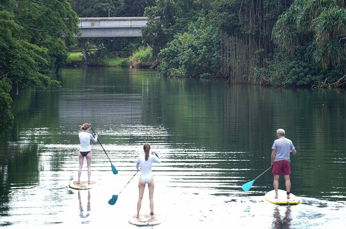 Historic Haleiwa Rainbow Bridge Stand Up Paddle (Anahulu River) - Final Takeaway