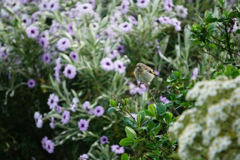 Historic Orkney Private Odyssey Tour By a Native Islander - Who Will Love This Tour?