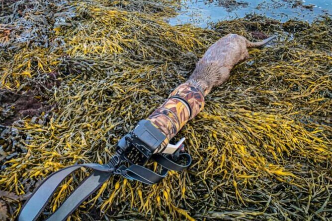 Historic Orkney Showcase Private Tour By a native Islander - FAQ