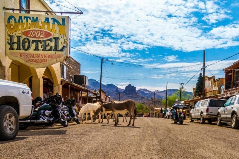 Historic Route 66 Bus Tour to Oatman - Who Will Love This Tour?