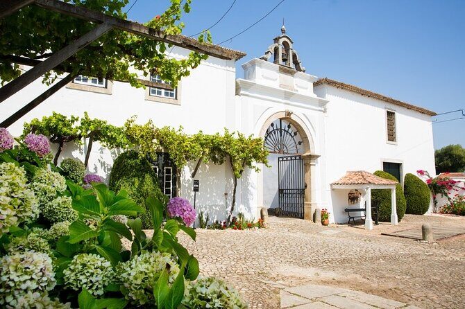 Historic Winery Tour and Tasting in Bombarral - A Closer Look at What to Expect