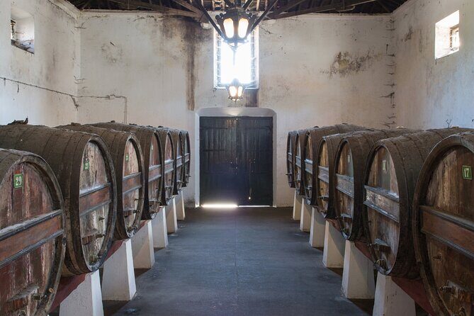 Historic Winery Tour and Tasting in Bombarral - Authentic Experiences from Real Travelers