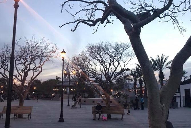 Historical and Cultural Walking Tour of San José del Cabo - FAQ: Common Questions About the Tour