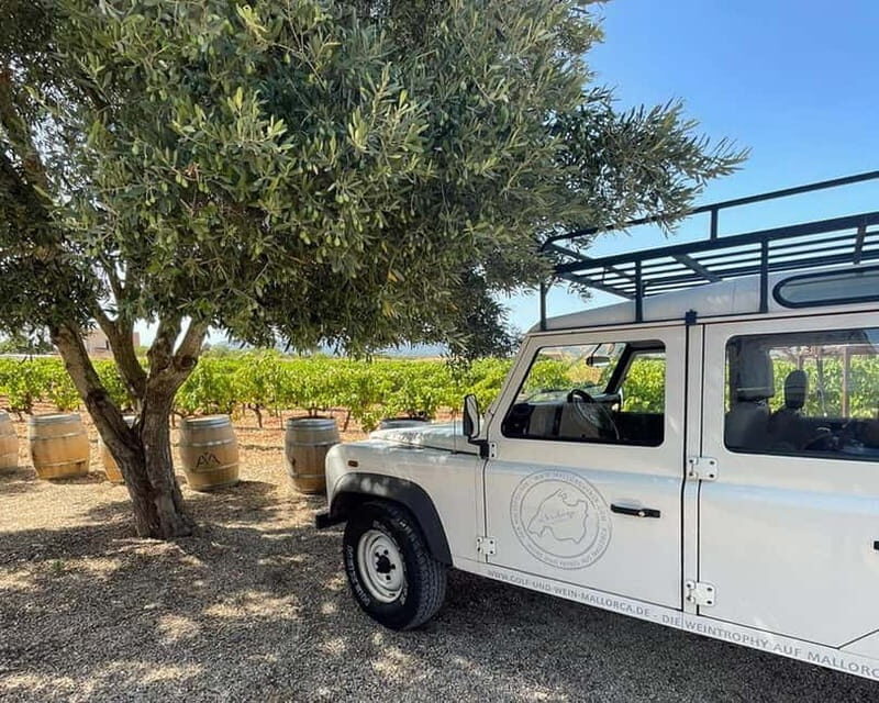 HISTORICAL BODEGA TOUR AND WINE TASTING - A Closer Look at the Historical Bodega Tour and Wine Tasting in Mallorca