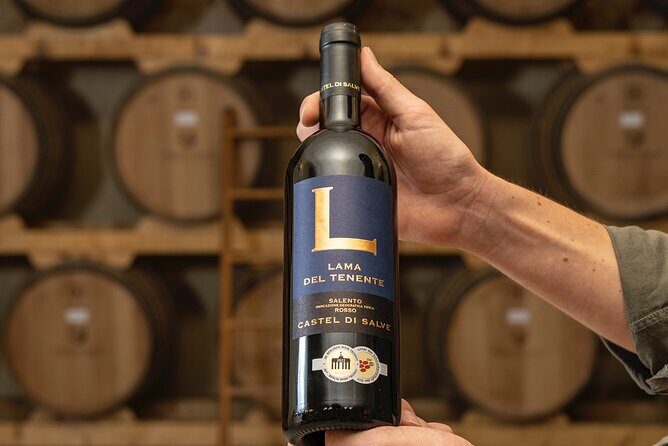 Historical Cellar Visit and Wine Tasting in Salento - In-Depth Review of the Experience