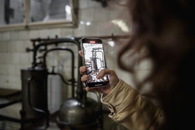 Historical Pharmacy Cellar Guided Tour - A Deep Dive into the Experience