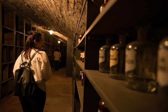 Historical Pharmacy Cellar Guided Tour - Final Thoughts: Is It Worth It?