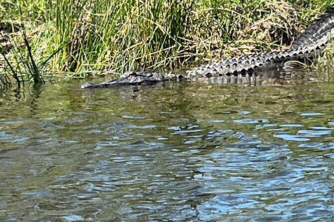 Historical Scenic Bayou Swamp Water Trail Kayak Tour - Key Points
