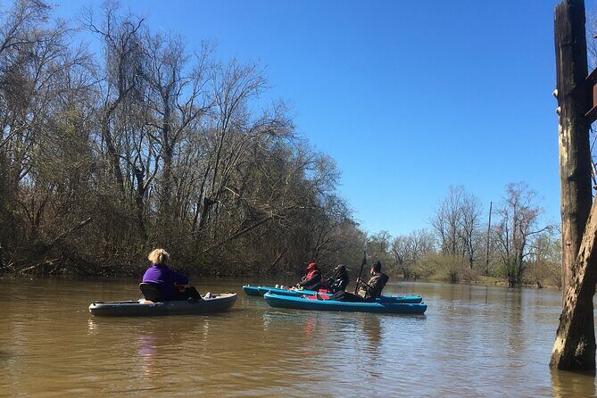 Historical Scenic Bayou Swamp Water Trail Kayak Tour - Detailed Breakdown of the Itinerary