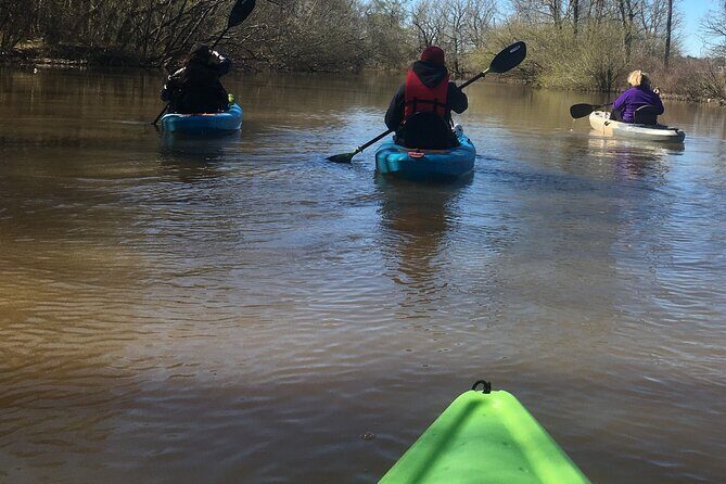 Historical Scenic Bayou Swamp Water Trail Kayak Tour - What the Reviews Say (Based on Actual Feedback)