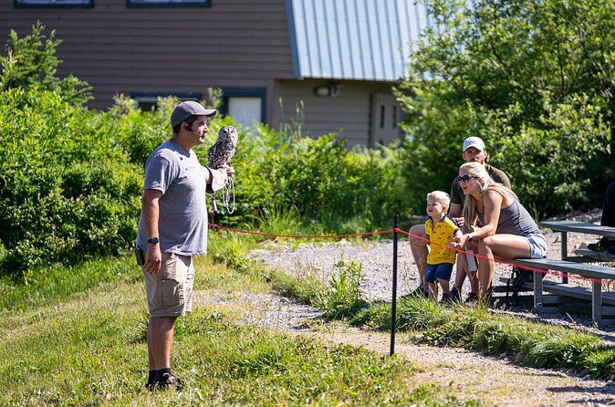 Historical Sightseeing in North Vancouver and Grouse Mountain - Final Thoughts