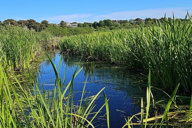 Historical Tour of Nantucket - FAQ