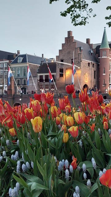 Historical Tour of The Hague - A Closer Look at the Tour Experience