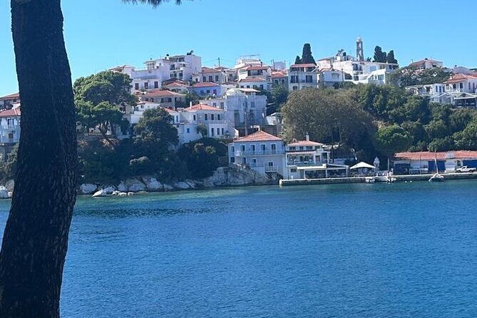 Historical Walk of Skiathos Town - Who Will Love This Tour?