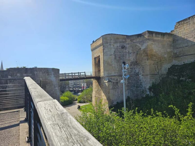 Historical walking tour - Caen Millennium Special - Who Should Book This Tour?