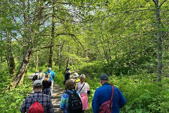 Historical Walking Tour of Abandoned Gold Rush Era City with AR - Introduction: What to Expect from the Treadwell Mine Tour
