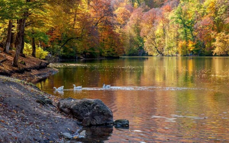 History and nature: Sevan lake, Dilijan, Tsaghkadzor - Practical Details: What You Need to Know