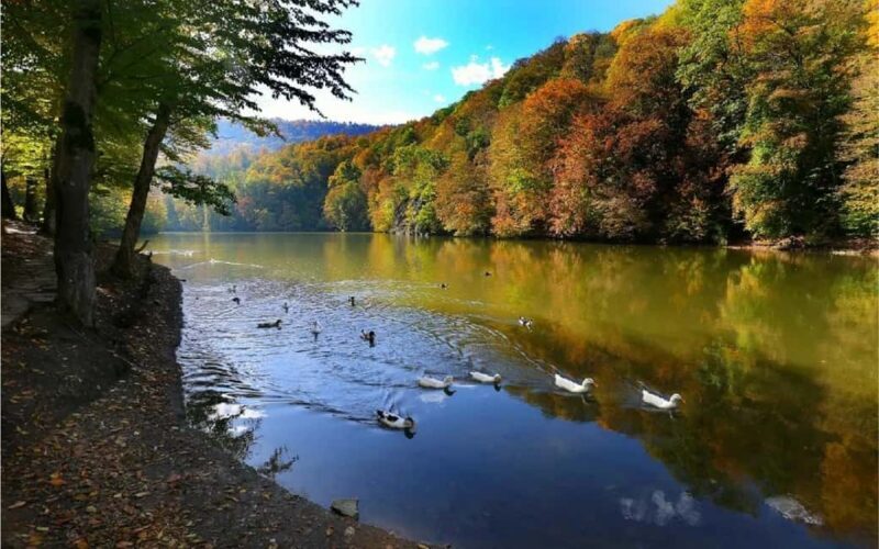 History and nature: Sevan lake, Dilijan, Tsaghkadzor - Who is This Tour Best For?