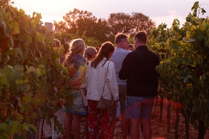 History & Local Wines: Amphitheater, Mitrium and Winery Visit - Who Will Love This Experience?