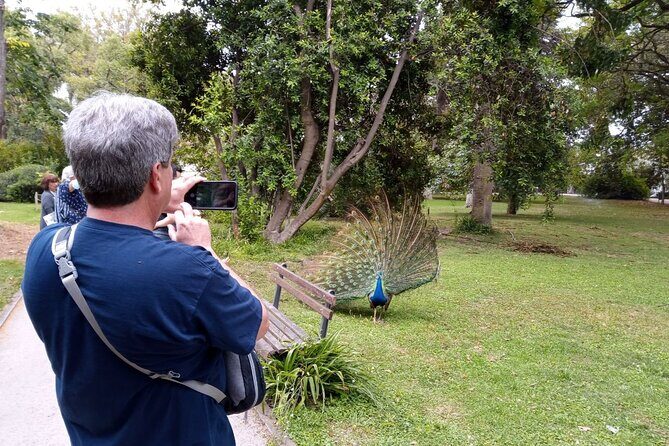 History-mistery of Lisbon (secrets societies and black arts) - Frequently Asked Questions