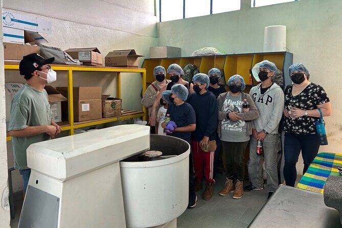 History of "Mole" and tour of the "Doña Elena" factory - Exploring the Experience in Detail