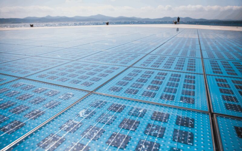 History Walking Group Tour in Old Center of Zadar - Highlights of the Tour