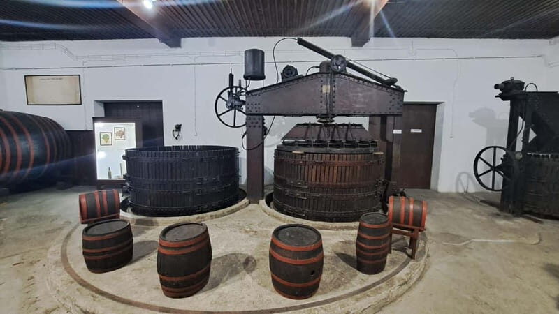 HISTORY WINE & ROYALTY (Avala mountain Topola Oplenac) - Discover the Rich Tapestry of Serbia: A Tour of Royalty, Wine, and Scenic Views