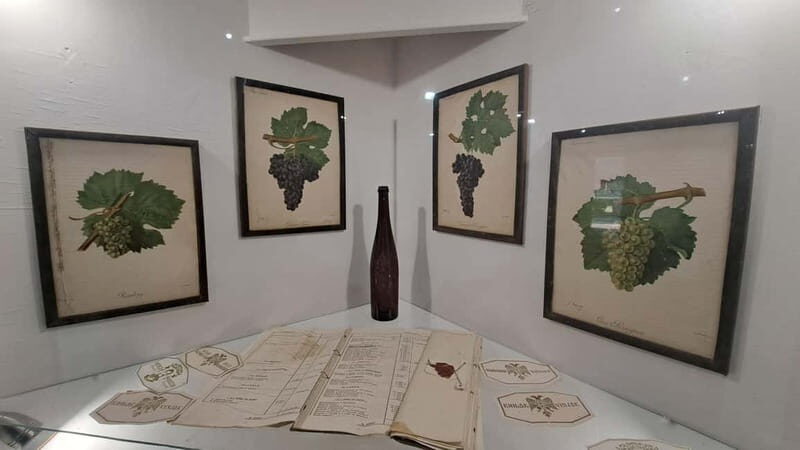 HISTORY WINE & ROYALTY (Avala mountain Topola Oplenac) - Valuing Your Time and Investment