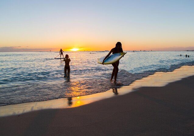 HNL Airport & Waikiki Private Transfer by Brand New Mercedes Van - Key Points