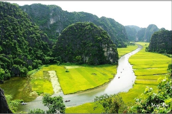 Hoa L Tam Coc & Mua Cave full day Including Buffets Lunch - Authentic Experiences and Insider Insights
