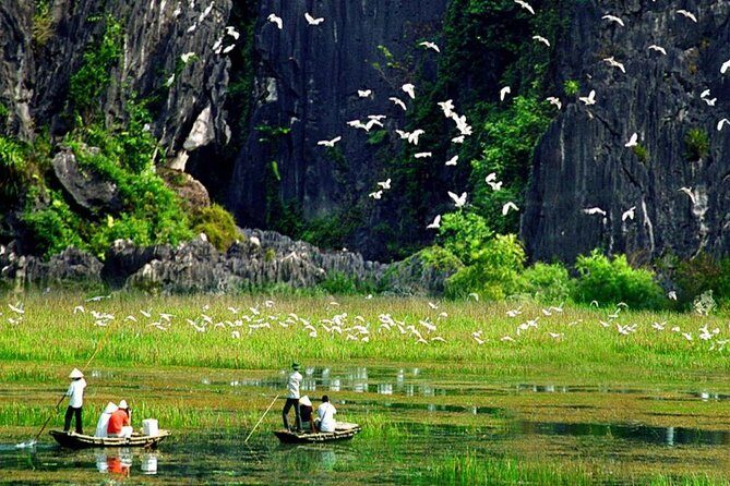 Hoa Lu and Tam Coc - Ninh Binh Day Tour - Practical Details and Value