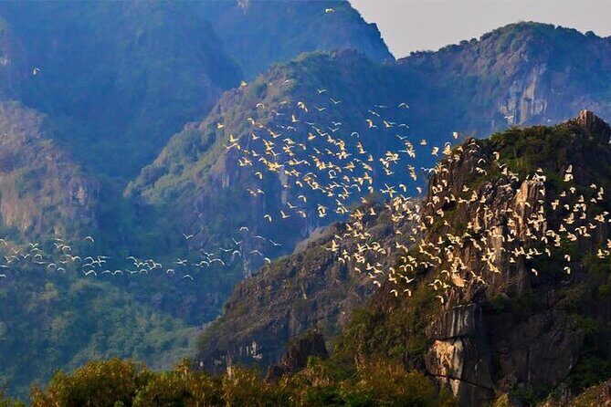 Hoa Lu - Van Long Nature Reserve Day Tour with cycling tour - Practical Details and Tips