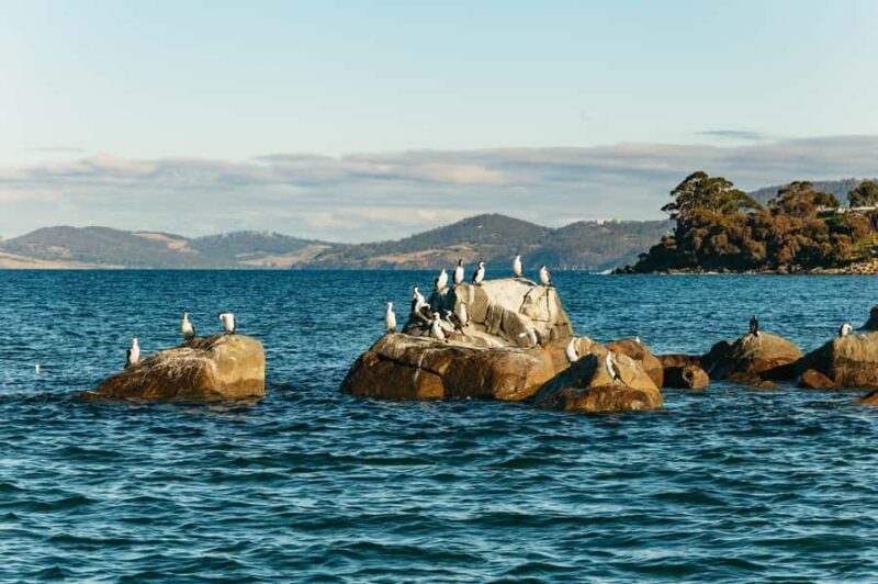 Hobart: 2.5-hour Iron Pot Lighthouse Cruise - A Deep Dive into the Experience